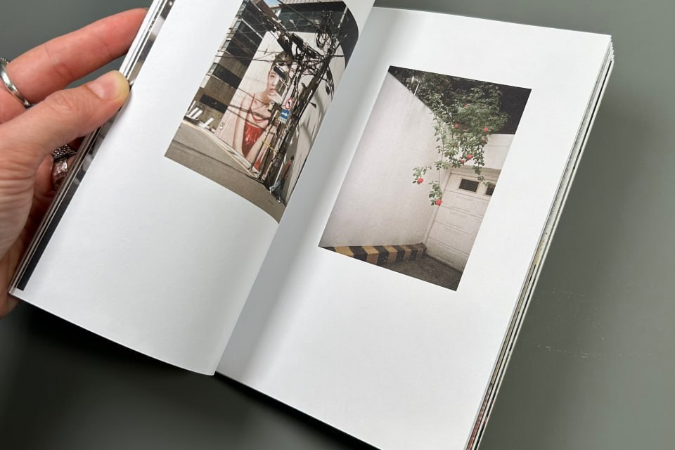 Индивидуальные консультации. Самоорганизация Низина