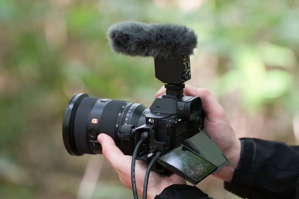 Анонсирована камера Sony A7R V. Фотограф — видеограф в Москве Дмитрий Менделеев