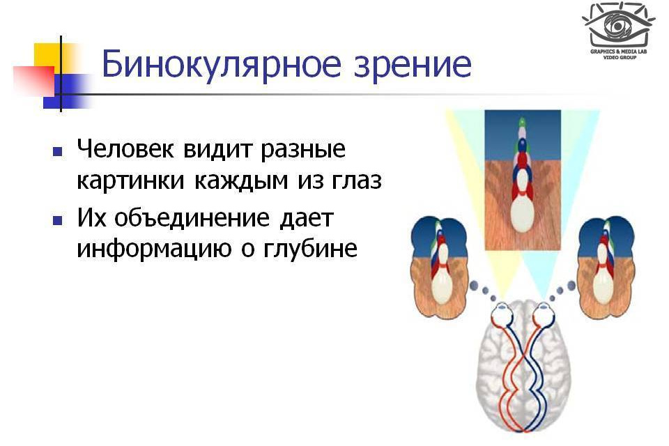 Отличие зрения человека от камеры. Фотоцентр Перспектива: выпускные альбомы, фотошкола, курсы фотографии