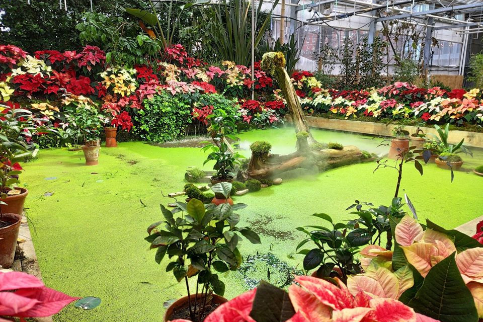 Красивые места для фотосессии. Женский фотограф в Москве Юлия Любченко