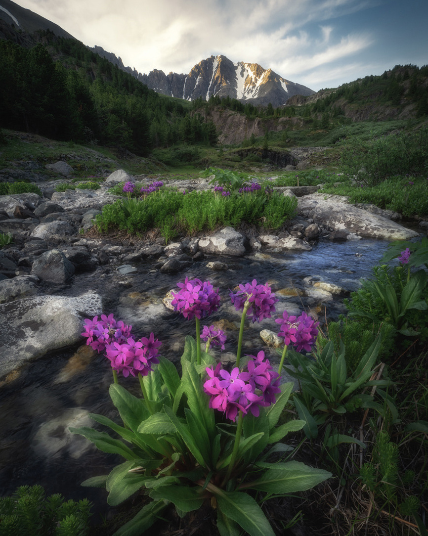 Ущелье водопадов. Профессиональный пейзажный фотограф Алёна Рубан