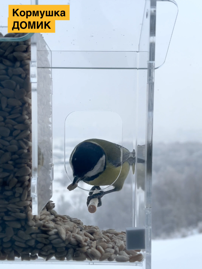 Съемка птиц на кормушке. Кормушки для птиц на окно Чирик-Чирик
