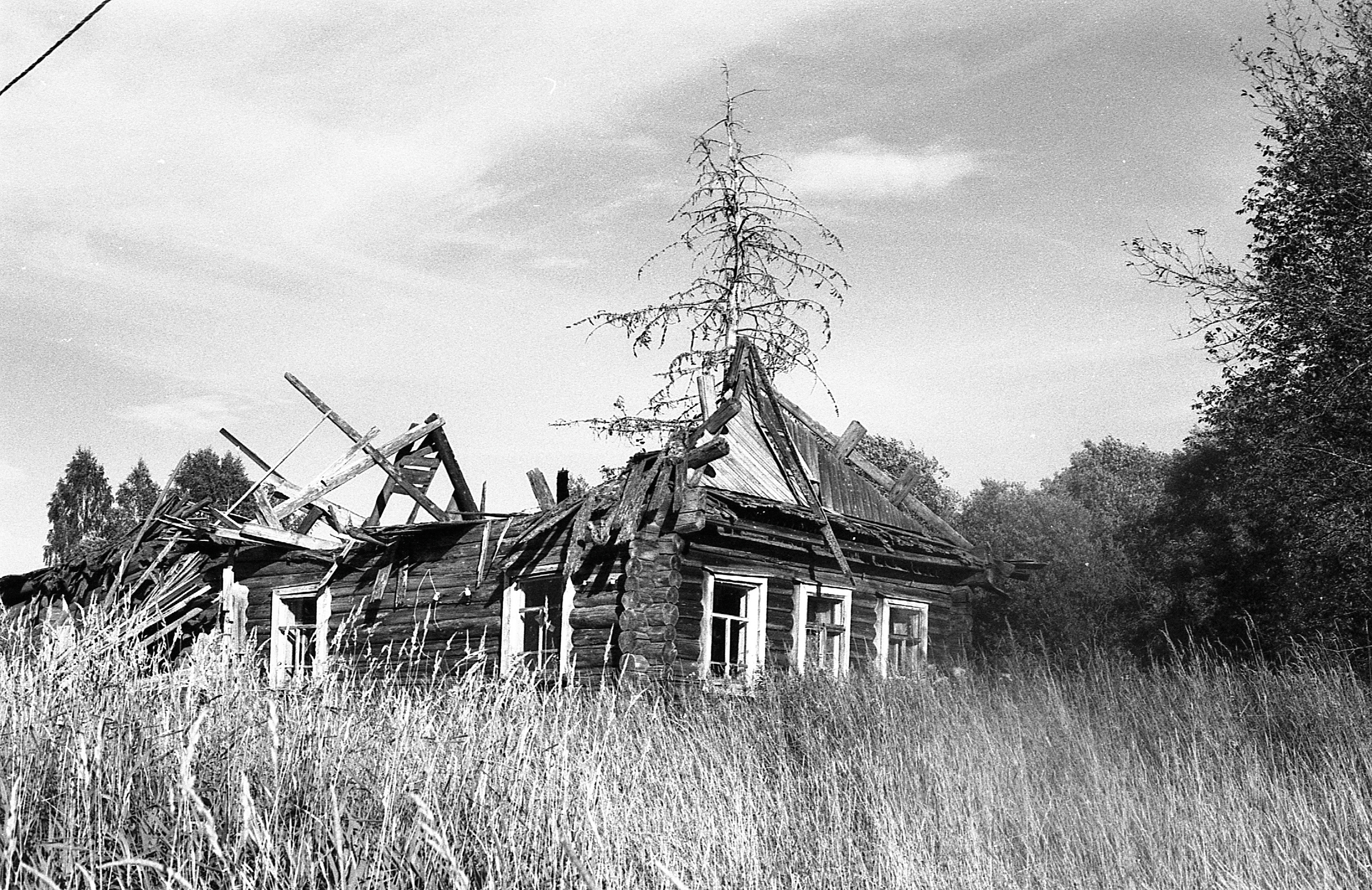 Мат в два хода. Фотограф Всеволод Емелин