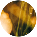 Интенсив «Дар Видеть»