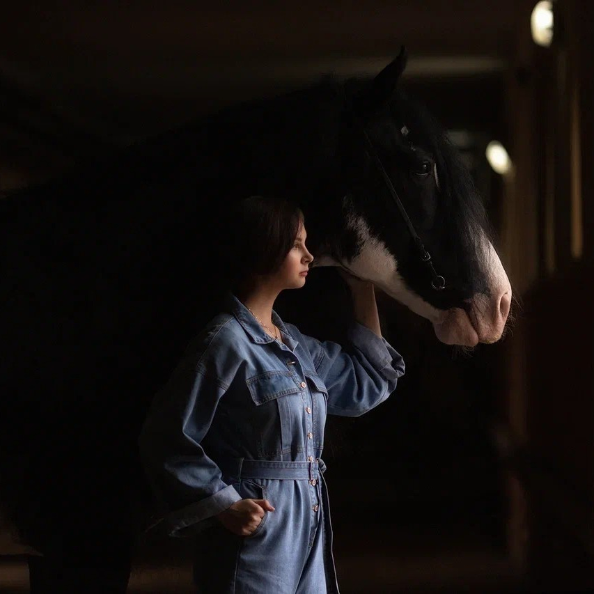 Условия фотосессии. Фотосессии с лошадьми в Москве от фотографа Кутейниковой Светланы