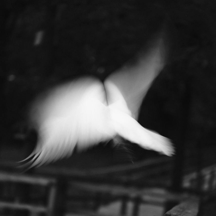 Фотограф/Видеограф из Саратова