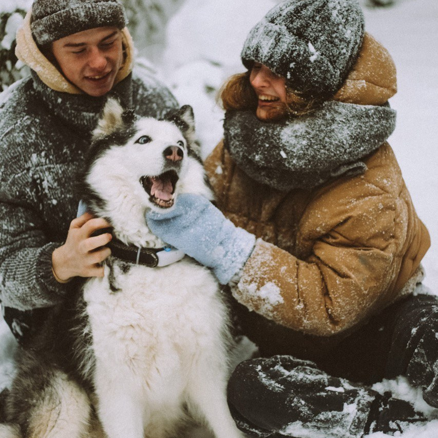 О заводчике. Заводчик Labradoodle в Санкт-Петербурге — Костылева Ульяна