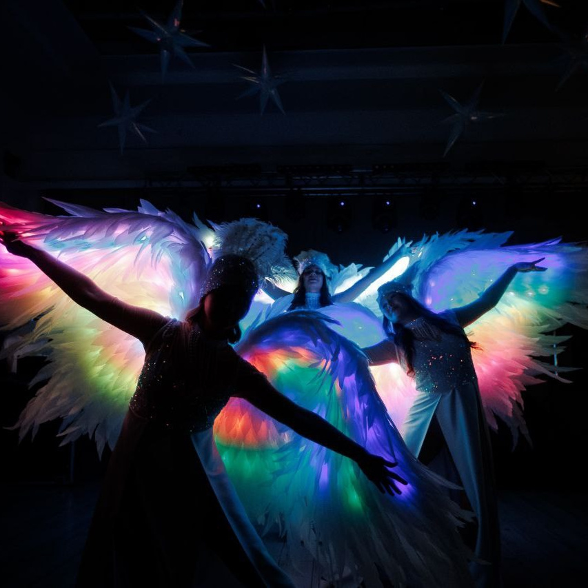 Танцевально световое шоу. Kozyreva-show