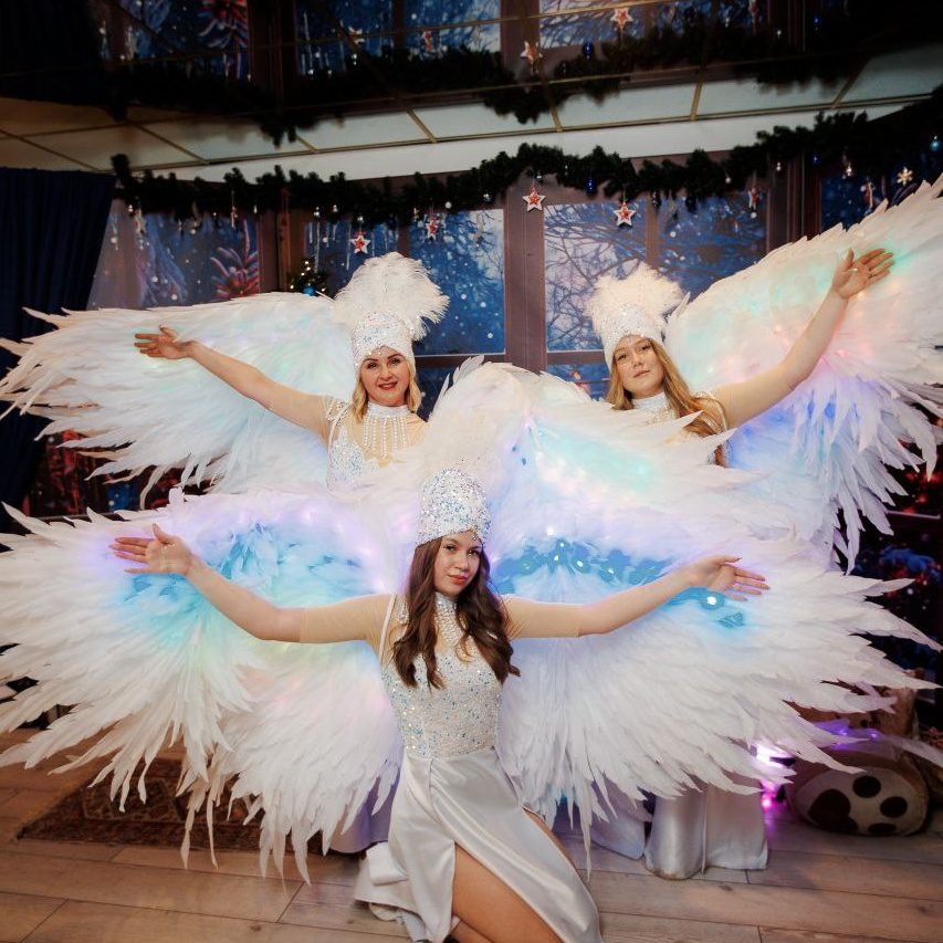 Танцевально световое шоу. Kozyreva-show