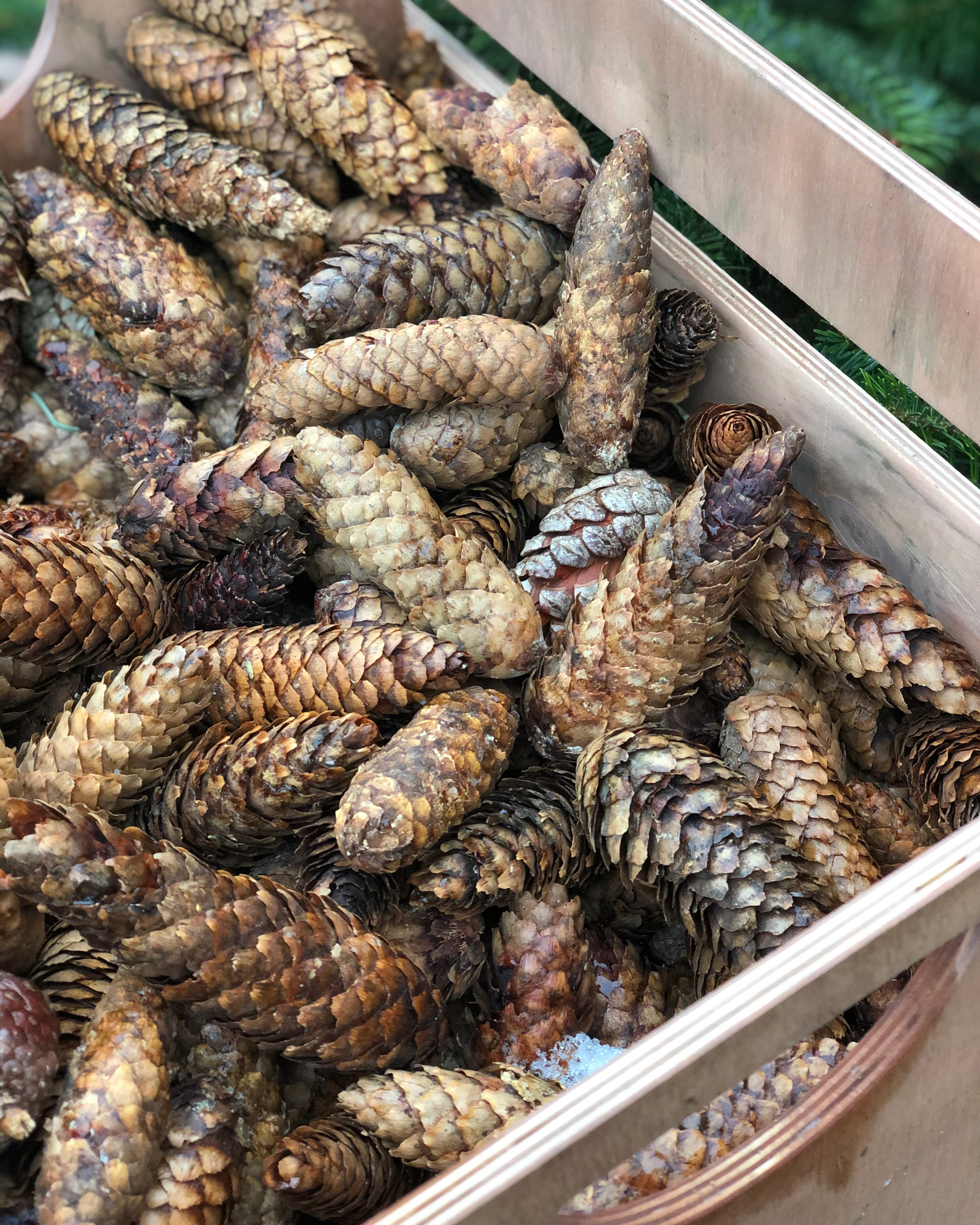 Предновогодний марафон «Декабрь без спешки». Позавтракаем? Настя Муратова контент фотограф, фуд стилист, Москва