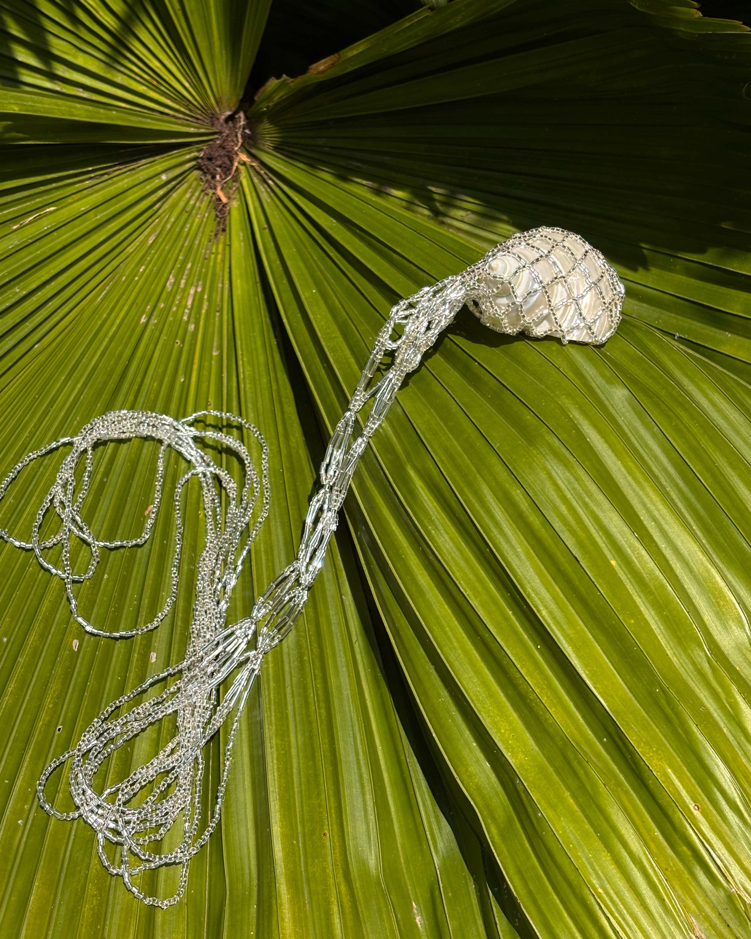 Аксессуары. Iva rent