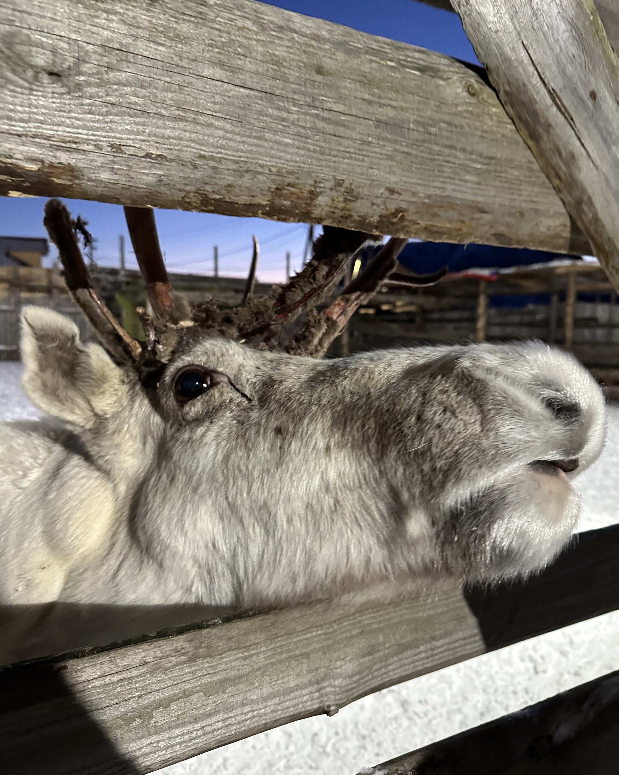 Кольский полуостров. Илья Варин — Фотограф Москва, Тверь