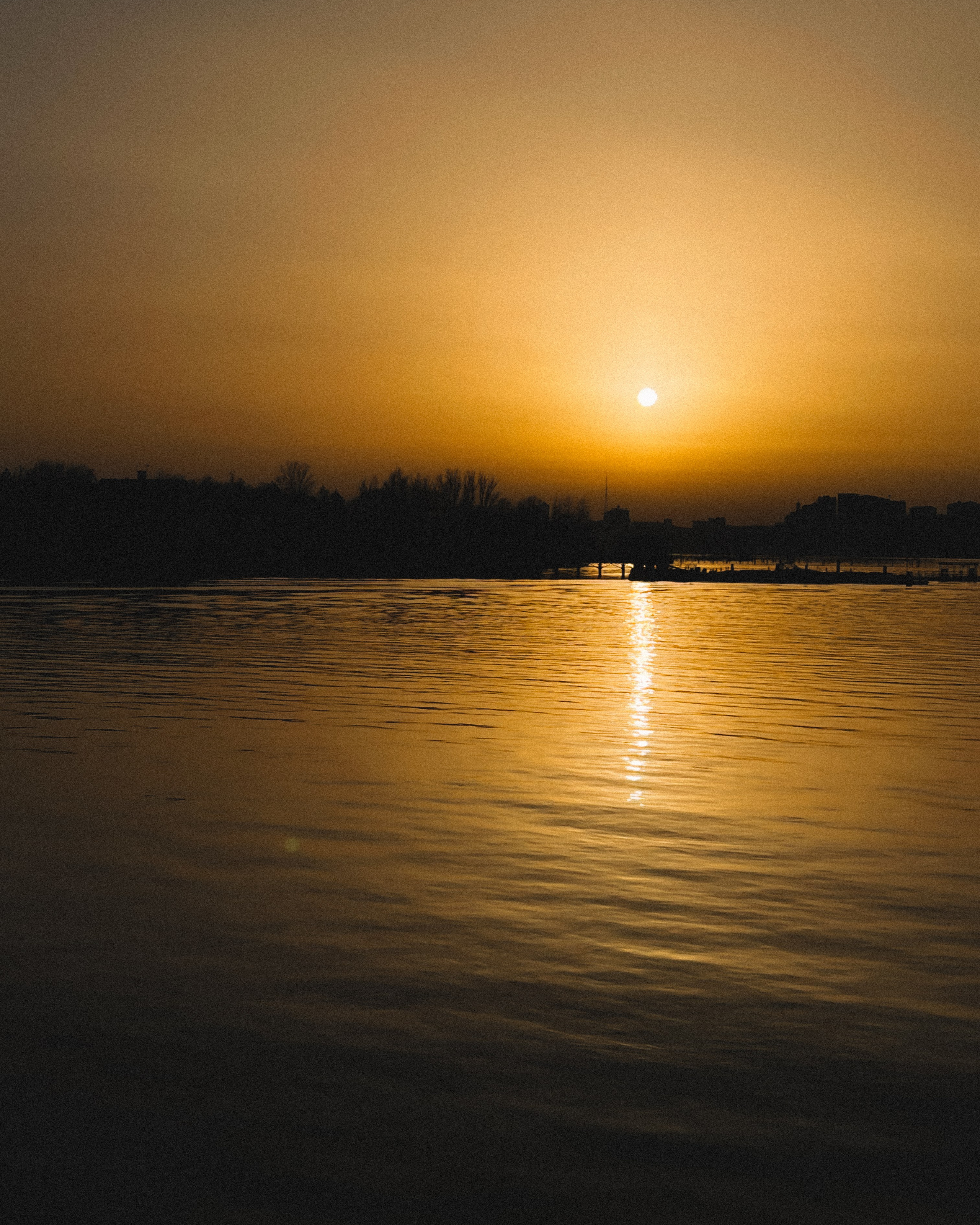 Фотограф Анастасия Дмитриева