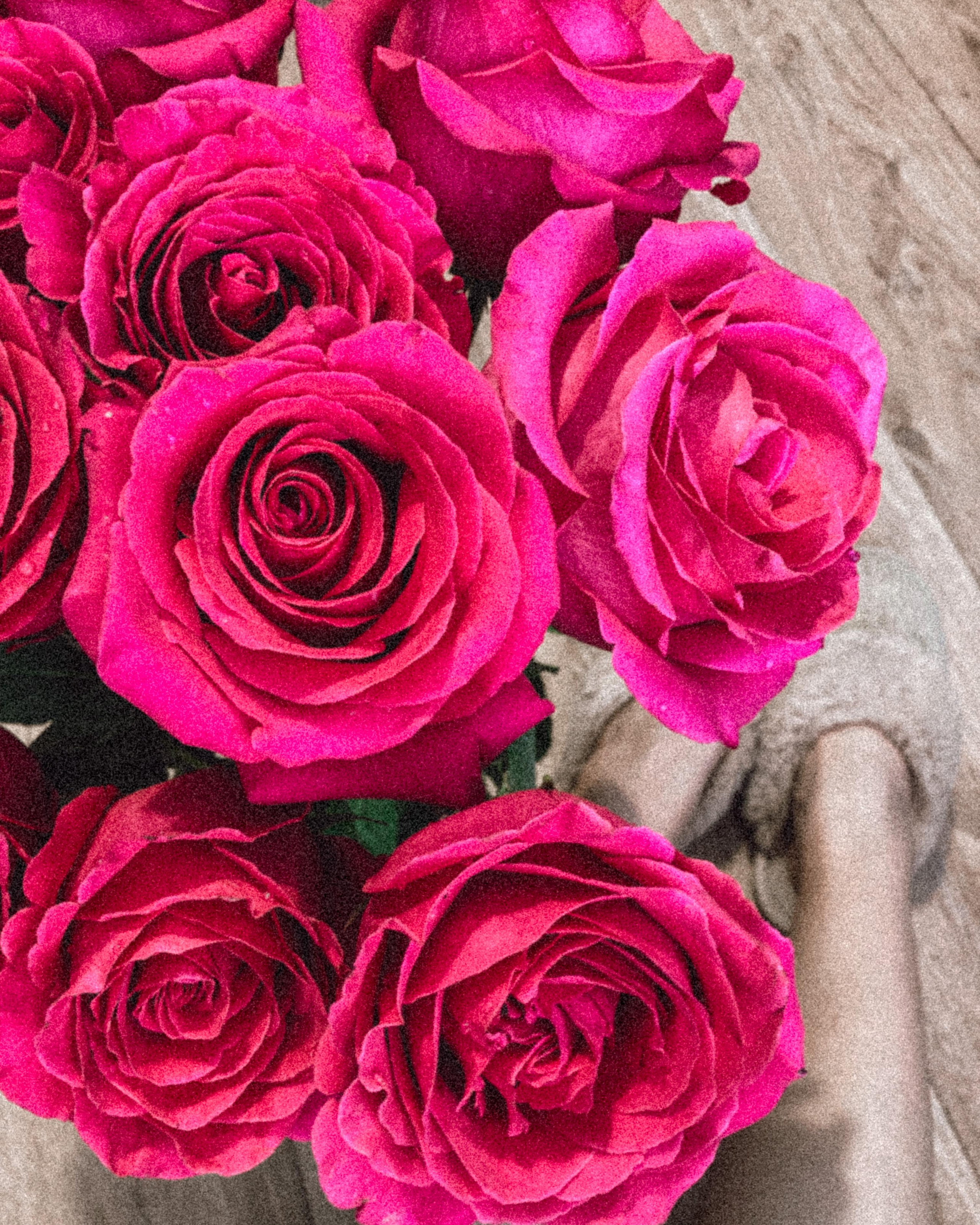 Гайд по мобильной фотографии + пресеты. Фотограф беременности и материнства в Самаре Наташа Бакаянова