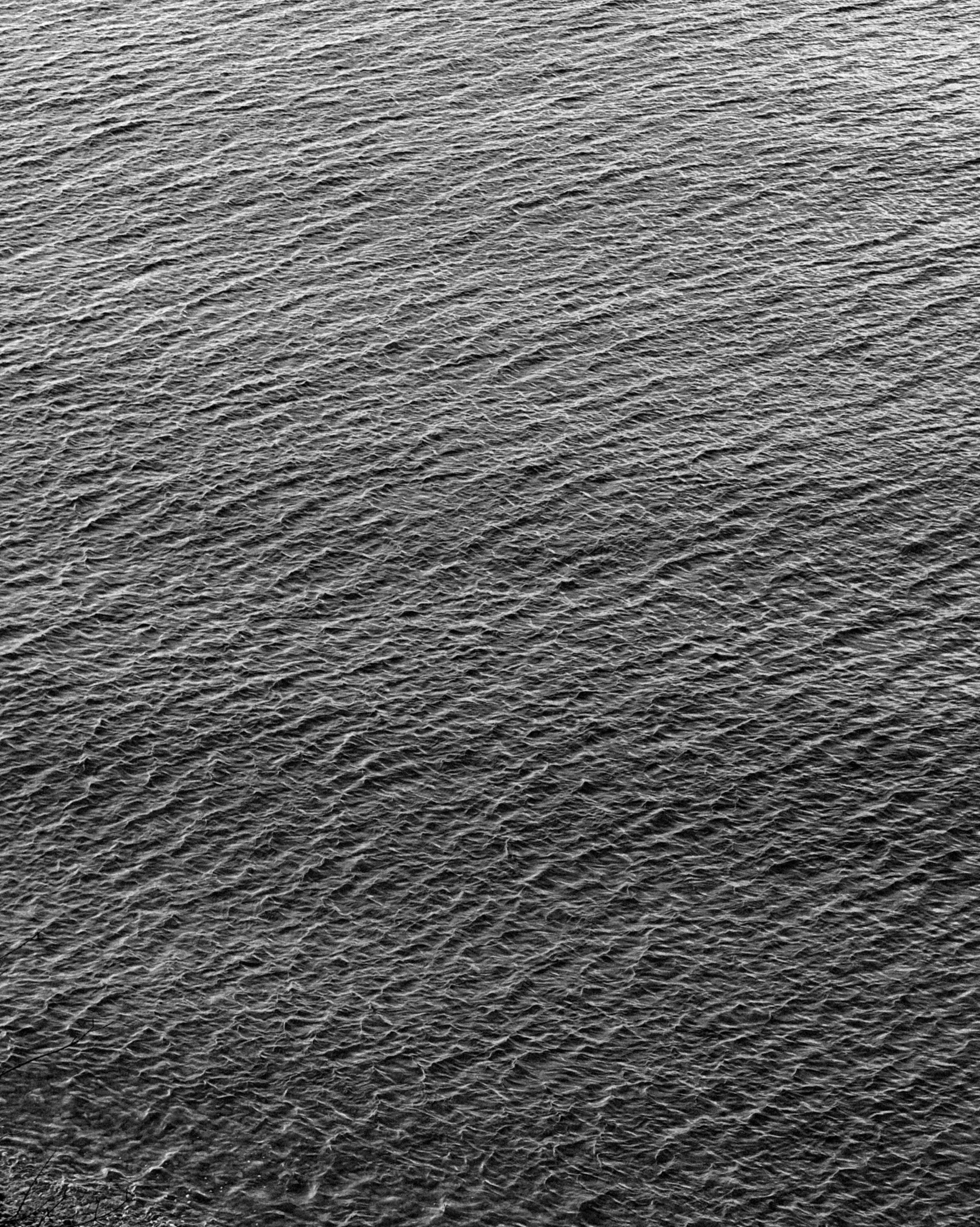 Whoisanyaa • фотограф Москва//Спб