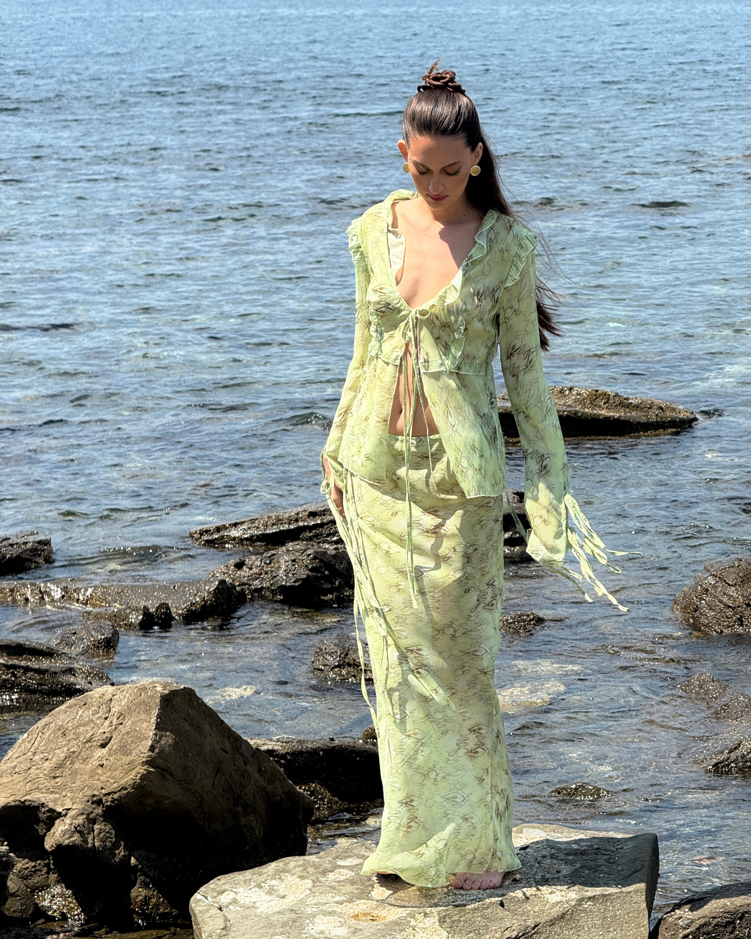 New лето. Iva rent