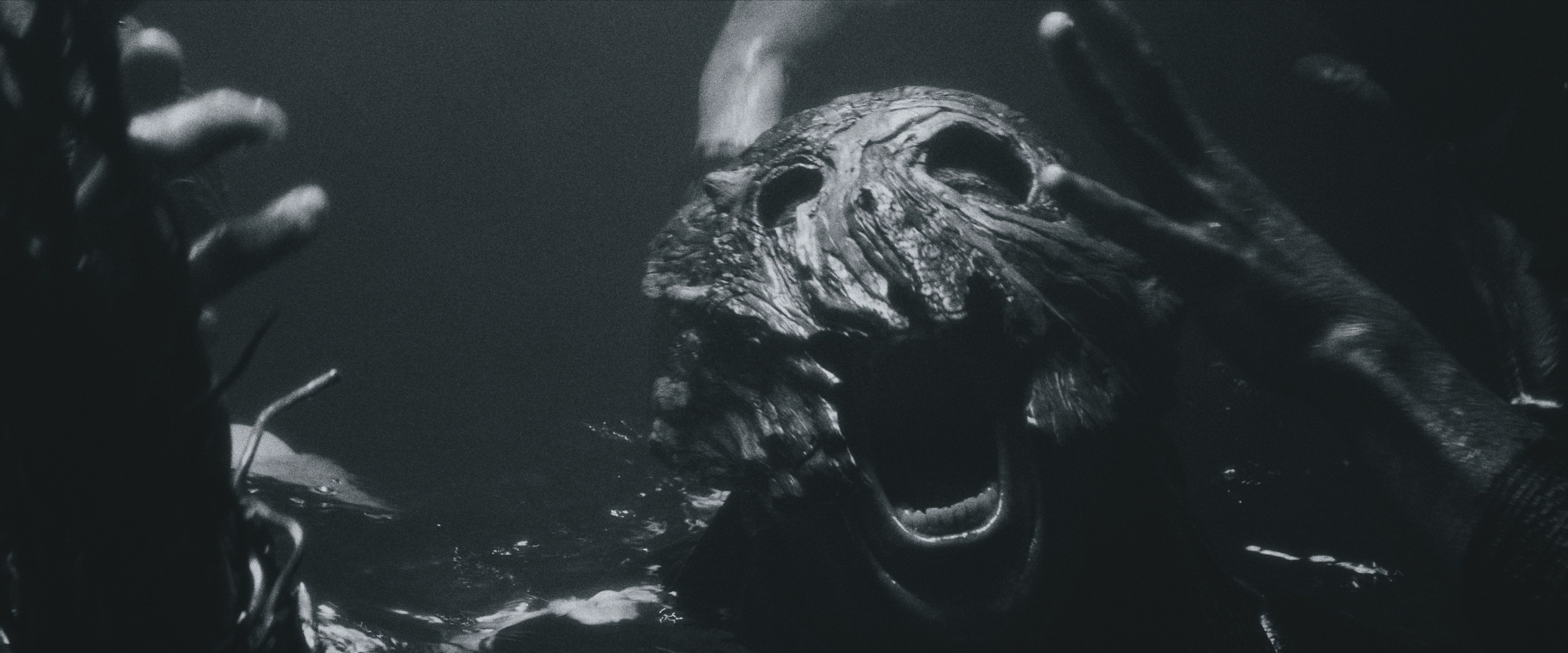 MUSIC VIDEOS. ZABOROVSKIY MARAT