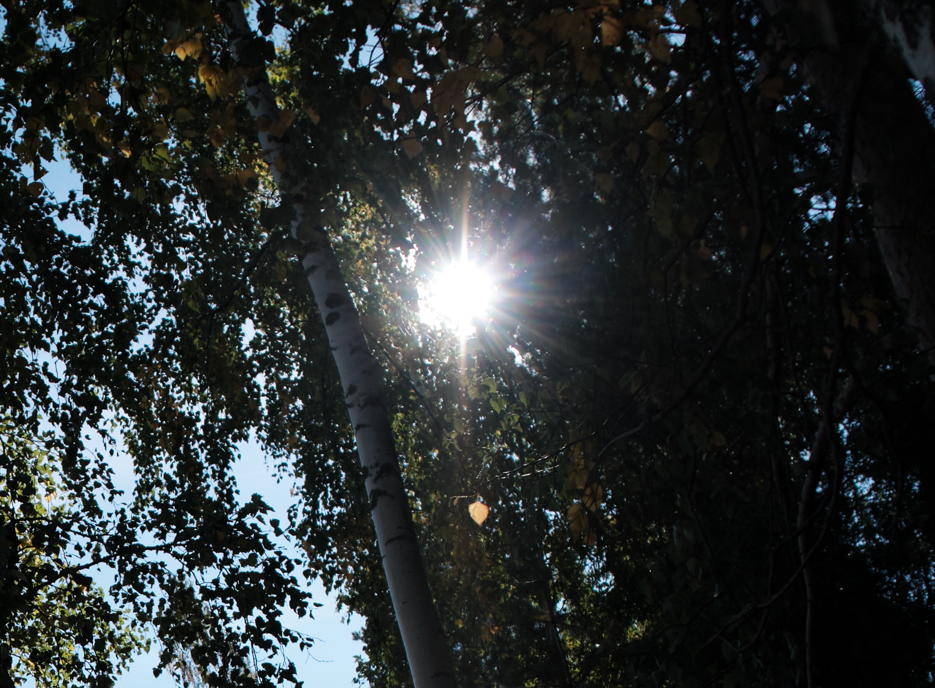 Сравнение объективов 7artisans 7,5/f2.8 и TTArtisan 7,5/f2.0. Фотограф Константин Шамин