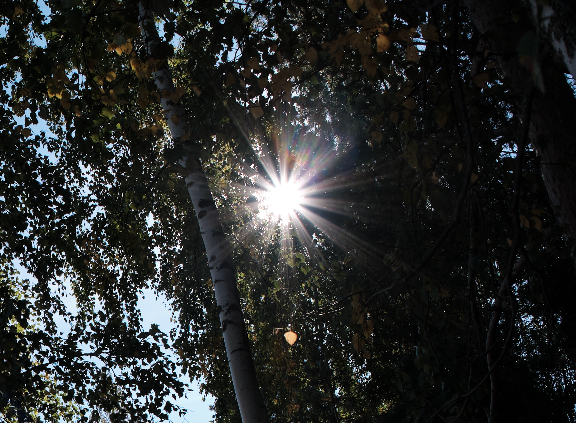 Сравнение объективов 7artisans 7,5/f2.8 и TTArtisan 7,5/f2.0. Фотограф Константин Шамин