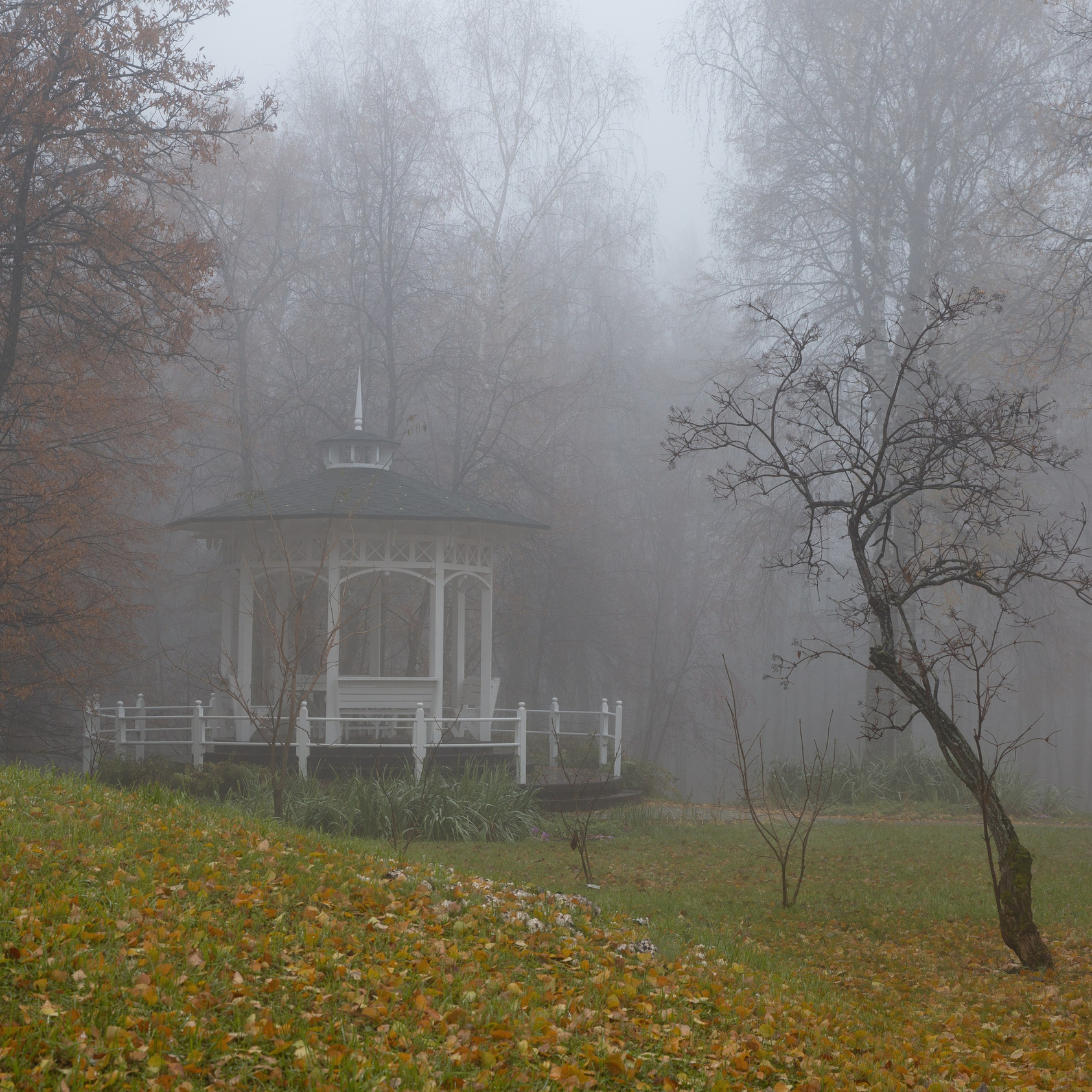 Мой фотомир