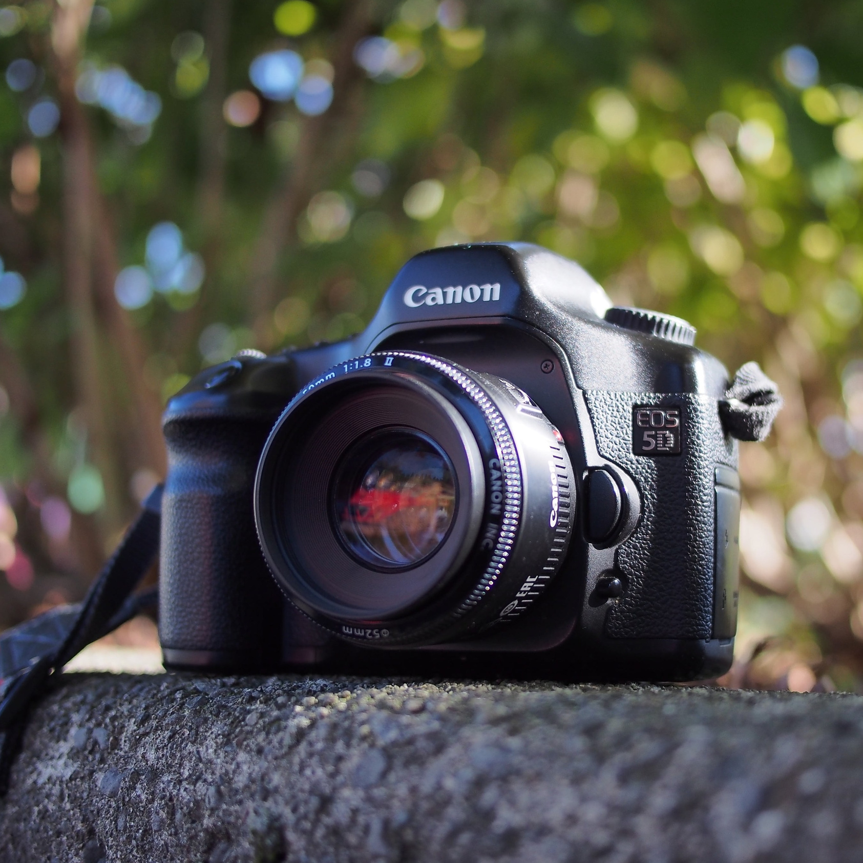 Услуги. Фото и видеосъёмка бизнес-мероприятий под ключ в Москве и МО — Akhmedov Team