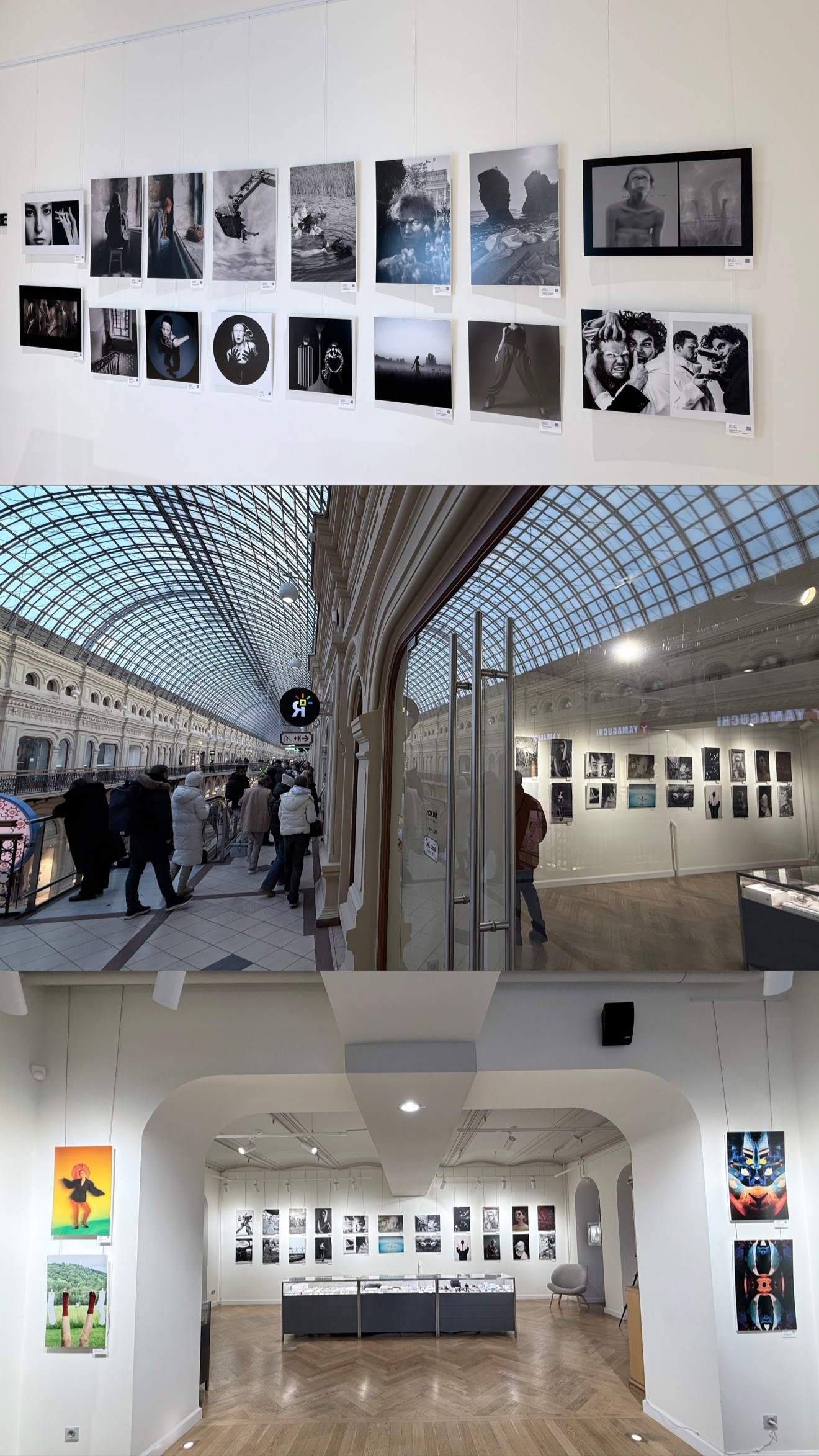 Москва «ПРЕДВАРИТЕЛЬНАЯ ВЕРСИЯ БУДУЩЕГО». ARTEXPOPHOTO