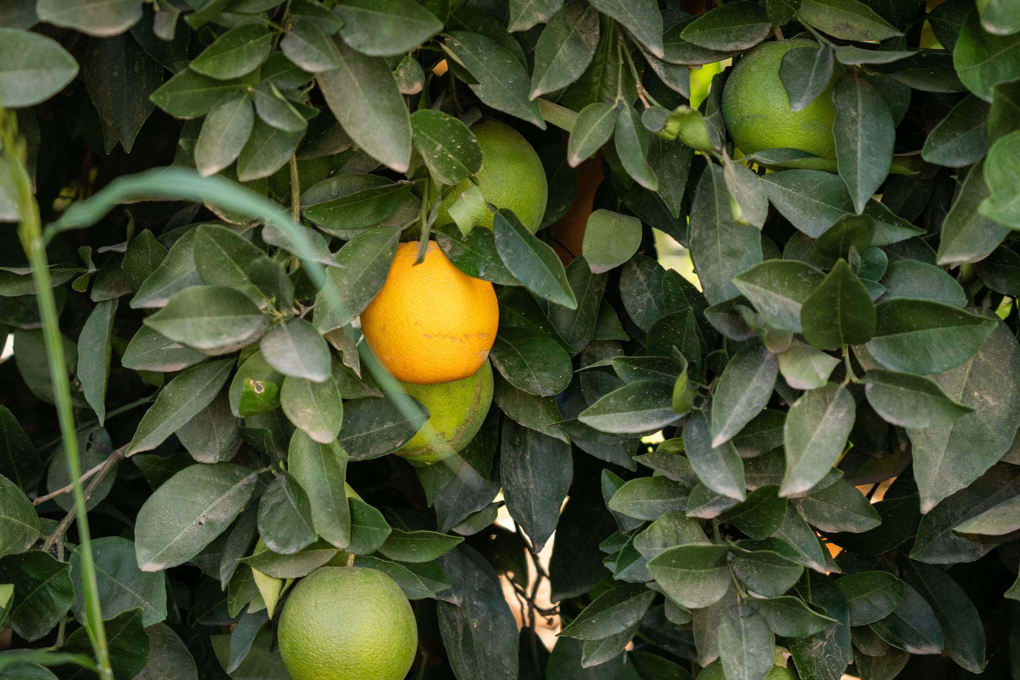 Марокко. Илья Варин — Фотограф Москва, Тверь