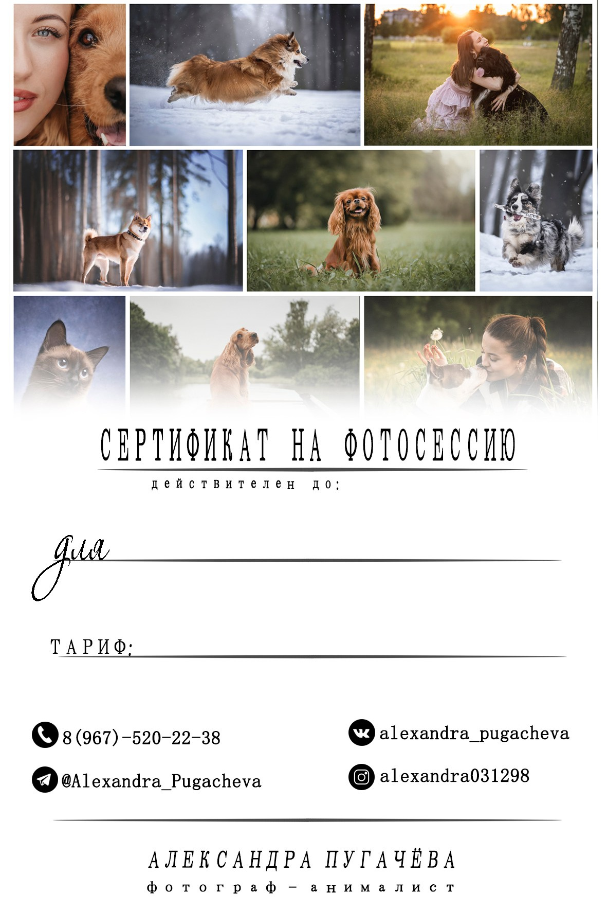 Подарочный сертификат. Фотограф-анималист в Санкт-Петербурге Пугачёва Александра