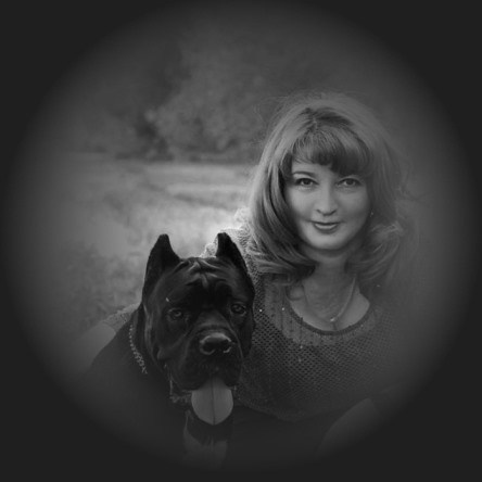 Связаться с питомником Американских Булли. ПИТОМНИК СОБАК ПОРОДЫ АМЕРИКАНСКИЙ БУЛЛИ