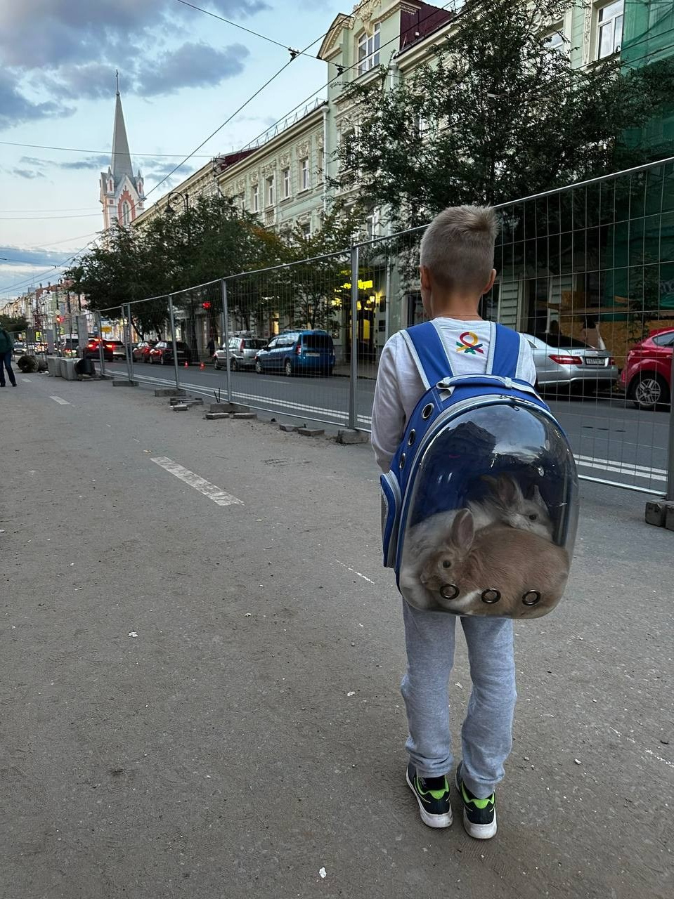Фотосессия с животными: мой опыт. Фотограф в Самаре / Олеся Широнина