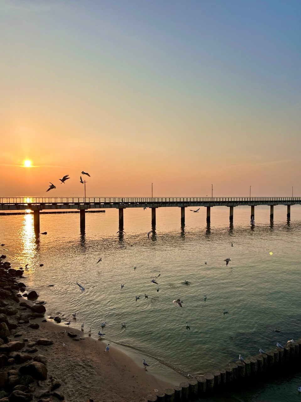 Фототур «Свет янтаря в сердце Балтики». Ольга Котова
