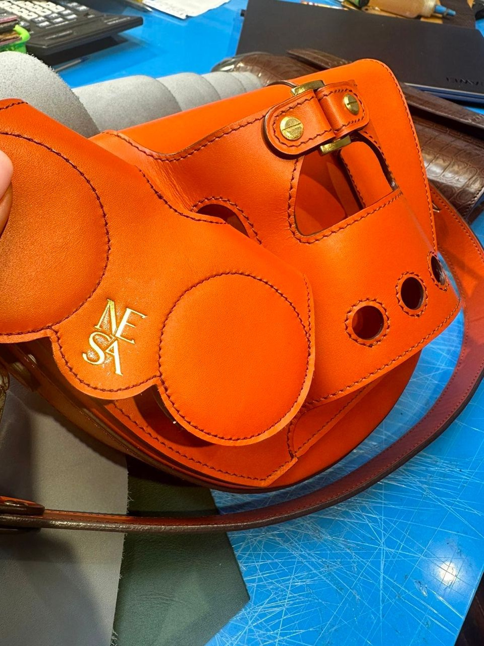 Логотип и фирменный стиль, Nesa