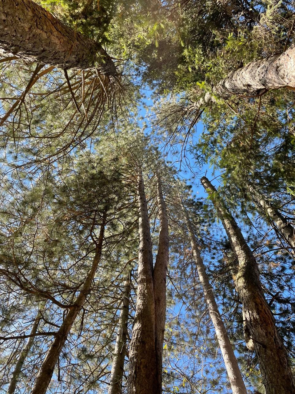 Ира: «Открытия и осознания, которы пришли в процессе путешествия сотворили новую меня». 💗КЛУБ НЕЖНОСТИ К СЕБЕ💗