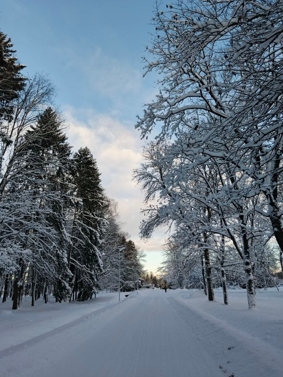 Елена: «Я научилась выражать себя, свои чувства и эмоции через фотографии.». 💗КЛУБ НЕЖНОСТИ К СЕБЕ💗