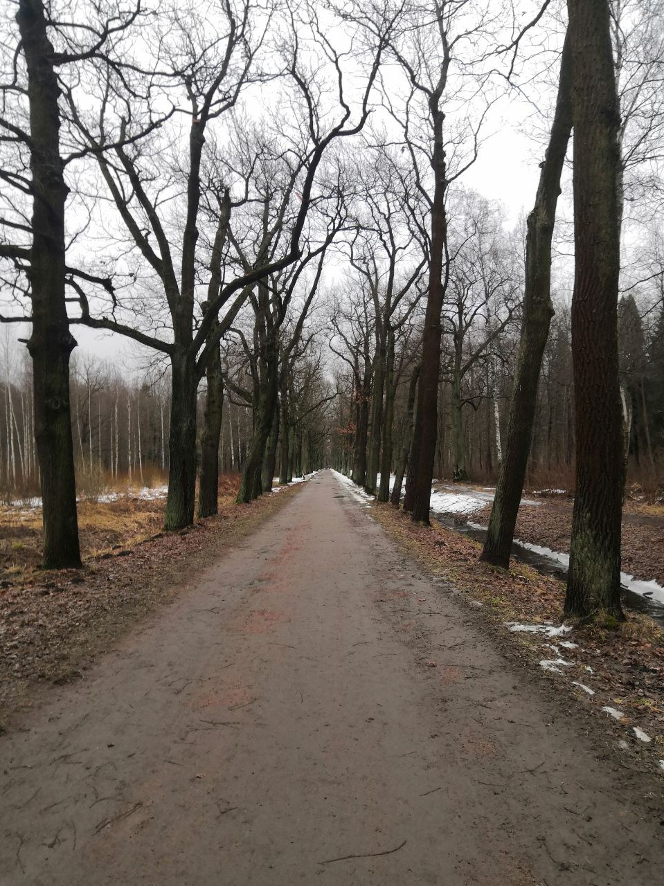 Яна: «Главным итогом для меня стало прощание с прошлым». 💗КЛУБ НЕЖНОСТИ К СЕБЕ💗
