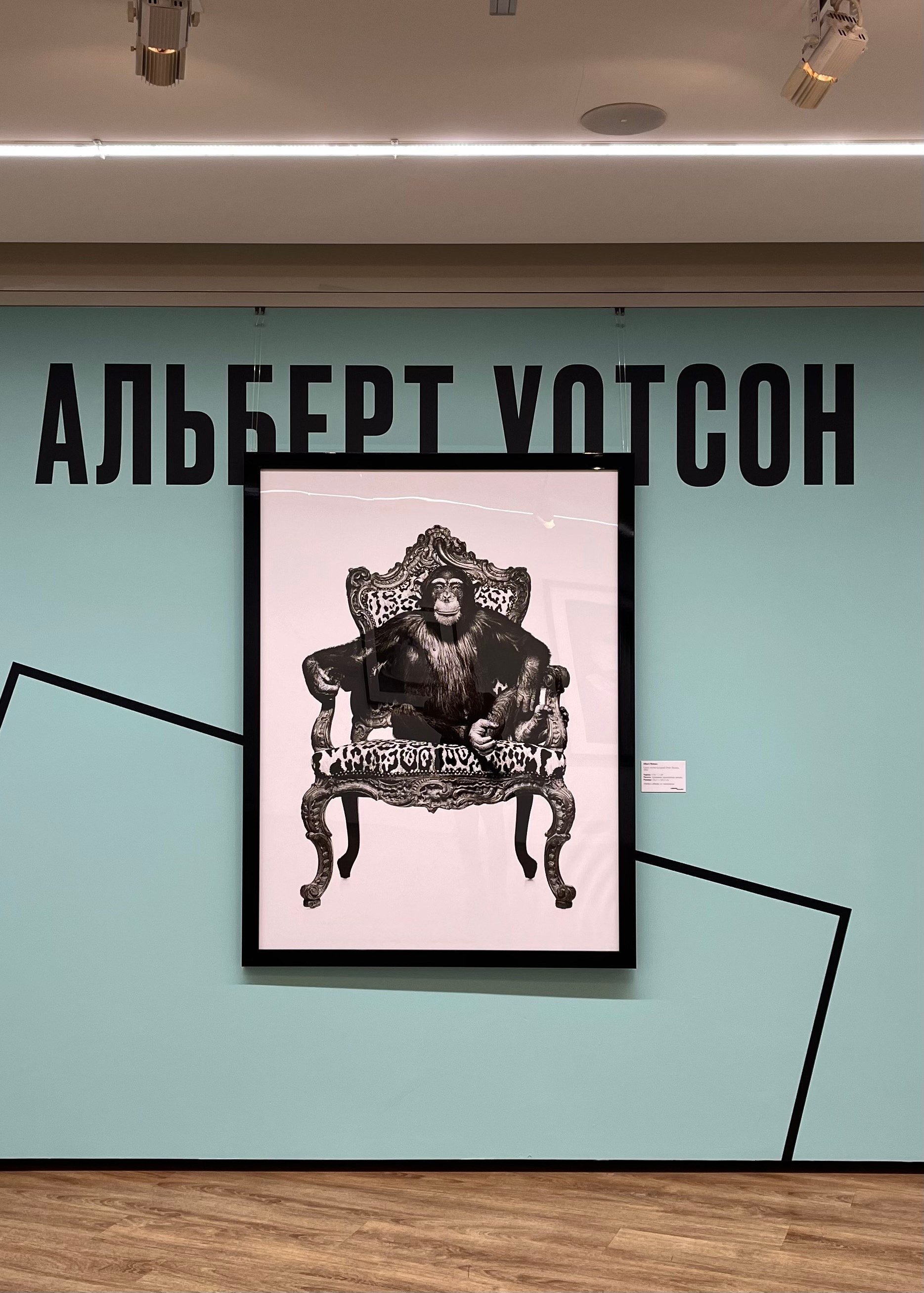 Выставки. Экскурсовод по Москве Беляева Валентина