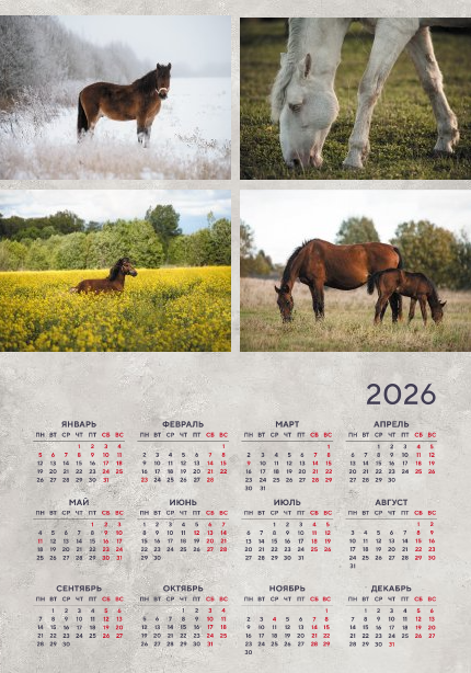 Продажа принтов и отпечатков. Продажа фотографий. Фото в интерьер. Фотограф в Санкт-Петербурге Светлана Балабанова