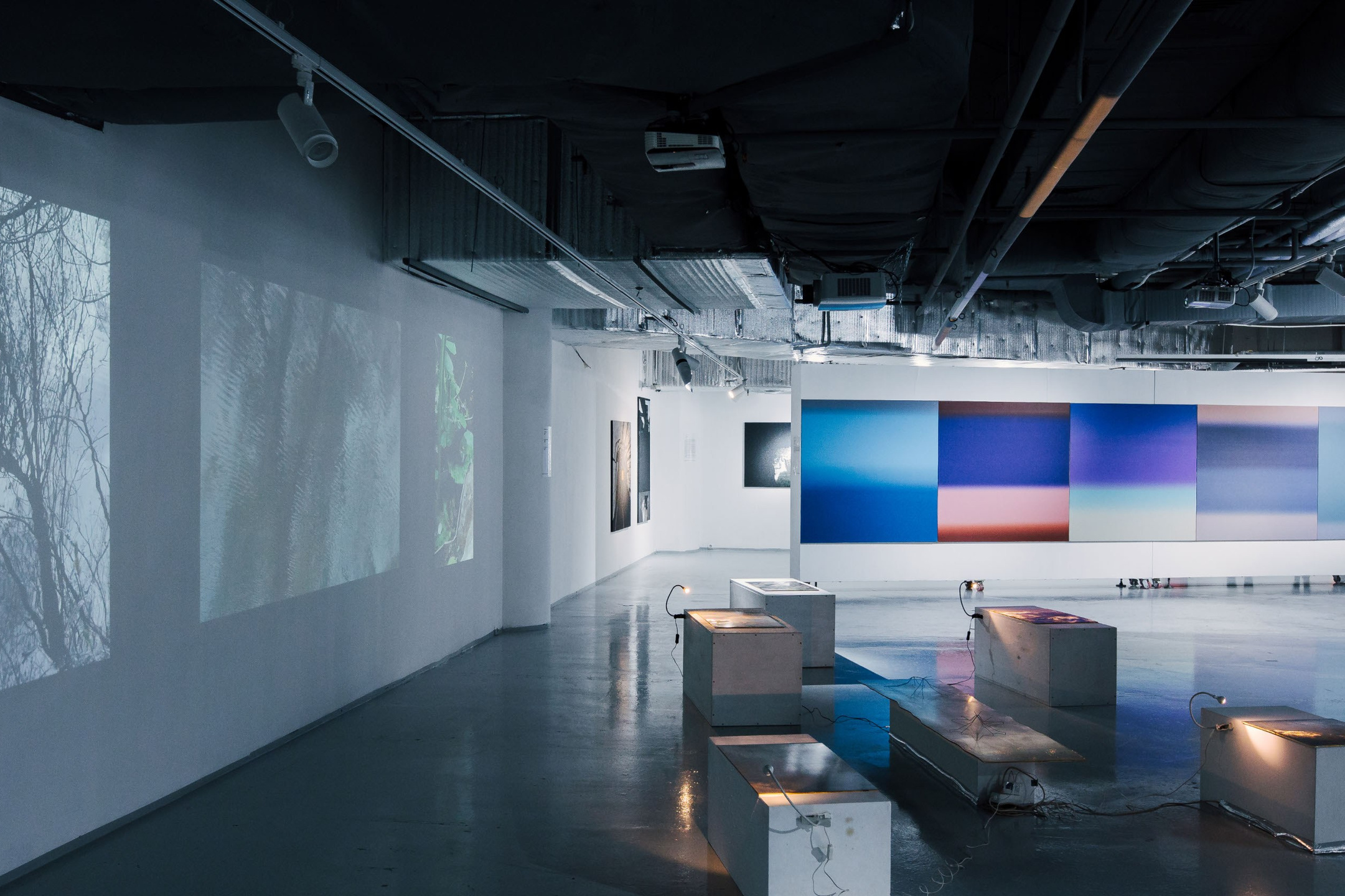 Прогулка на выставку. Индивидуальные авторские экскурсии, музеи и выставки в Москве