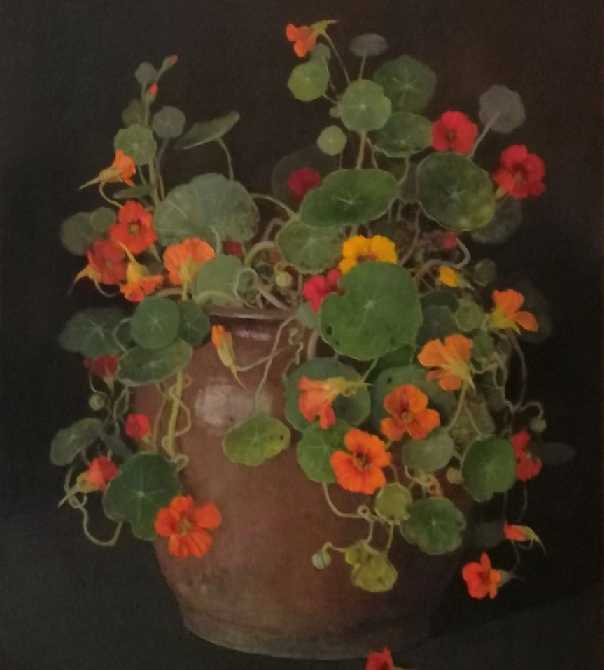 Трифонова Евгения