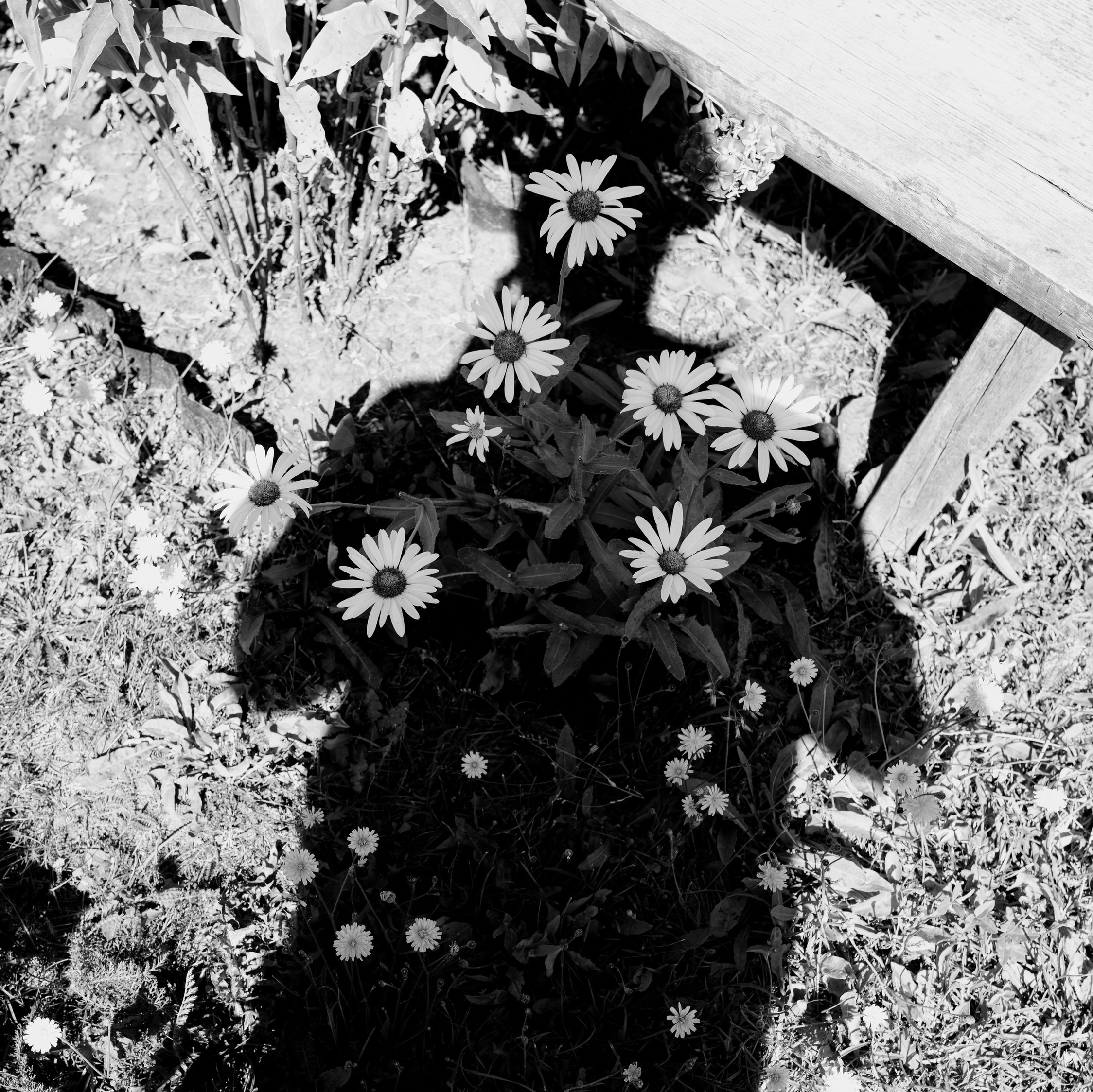 О себе. Фотограф Александр Тихонов