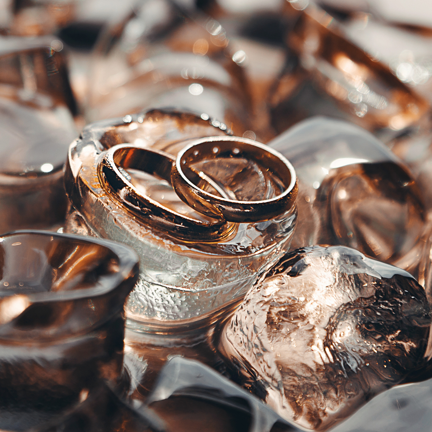 Контакты (свадьба). Фотограф в Самаре Евгений Гурин