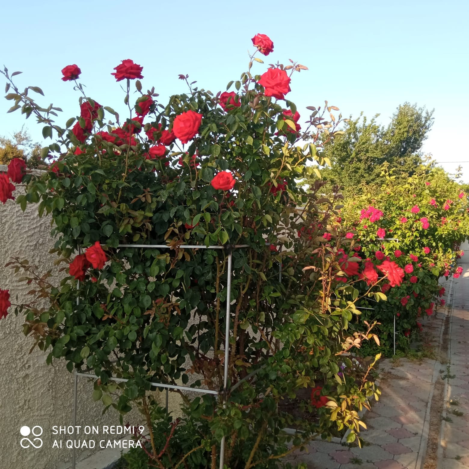 Услуги. Гостевой дом «Райский уголок»