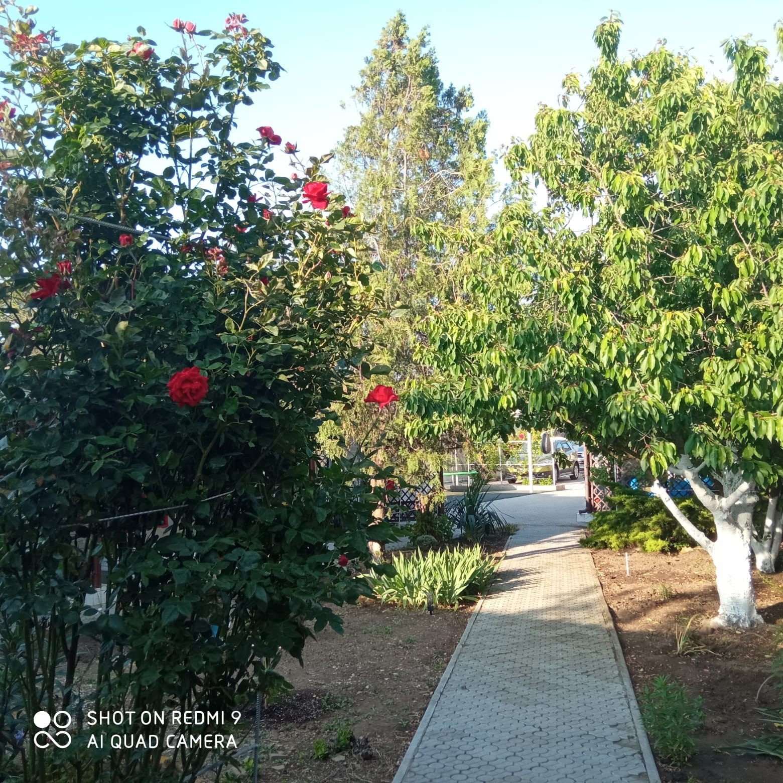 Услуги. Гостевой дом «Райский уголок»