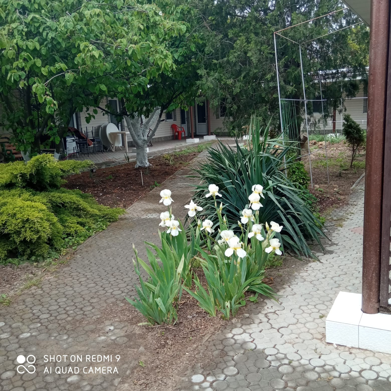 Услуги. Гостевой дом «Райский уголок»