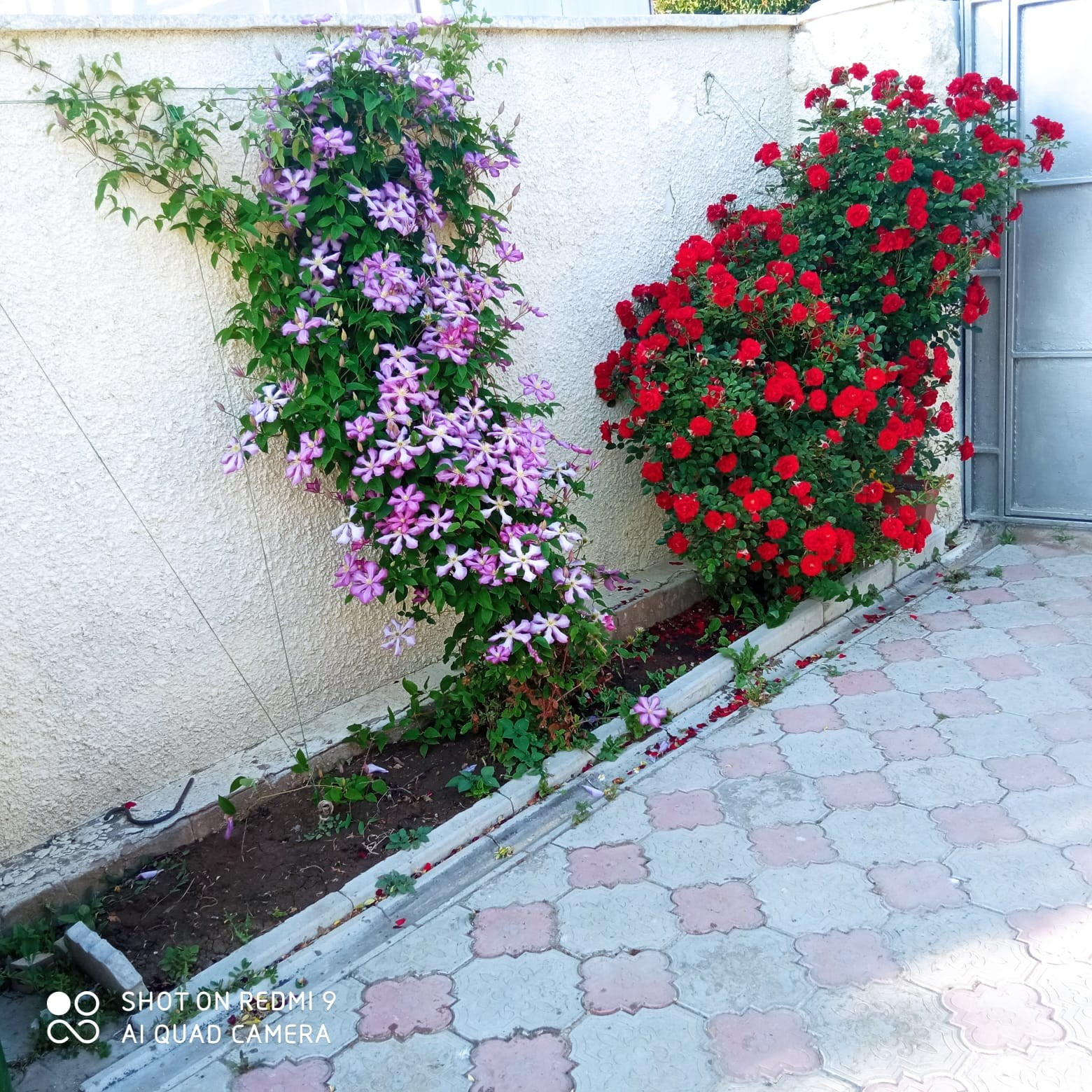 Услуги. Гостевой дом «Райский уголок»