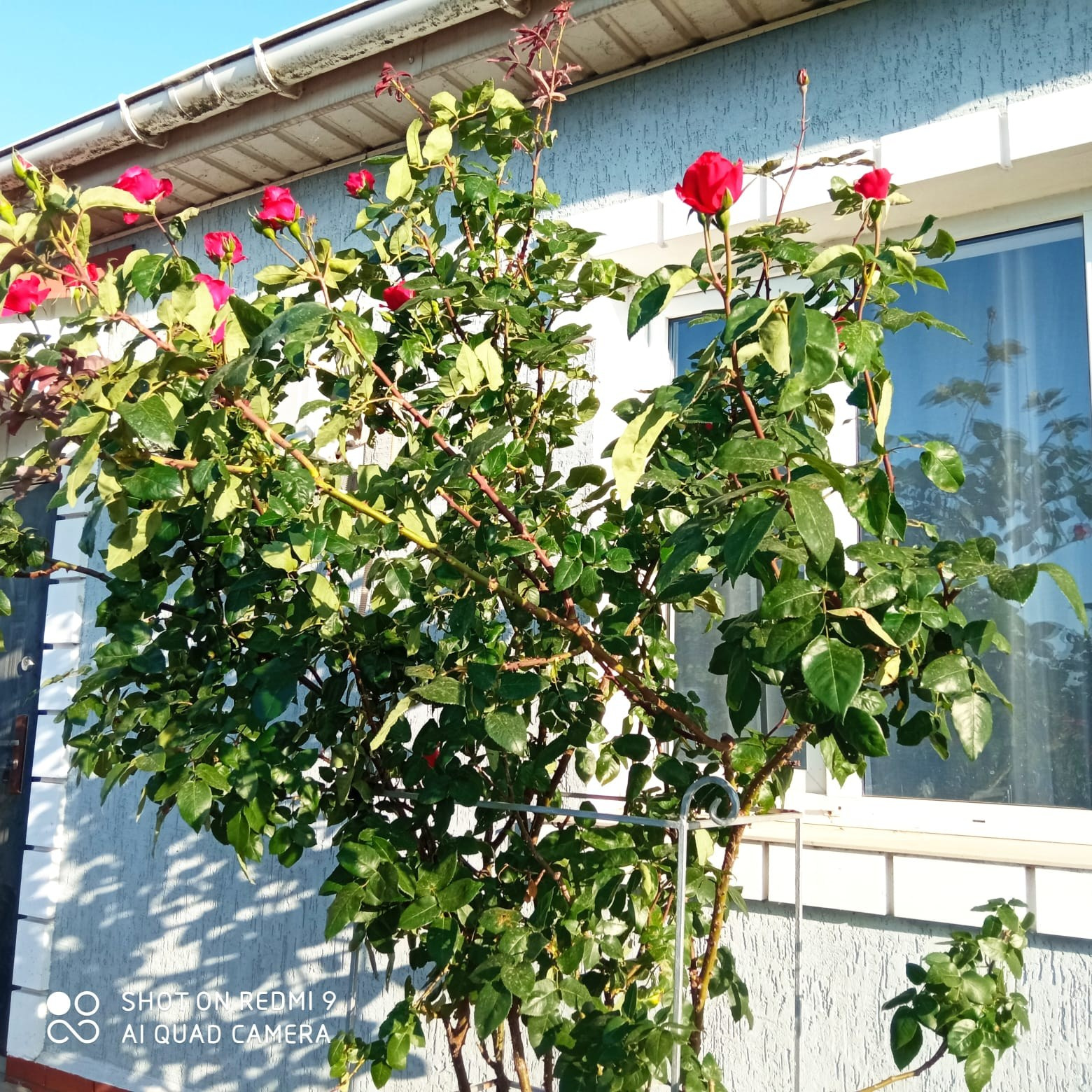 Услуги. Гостевой дом «Райский уголок»