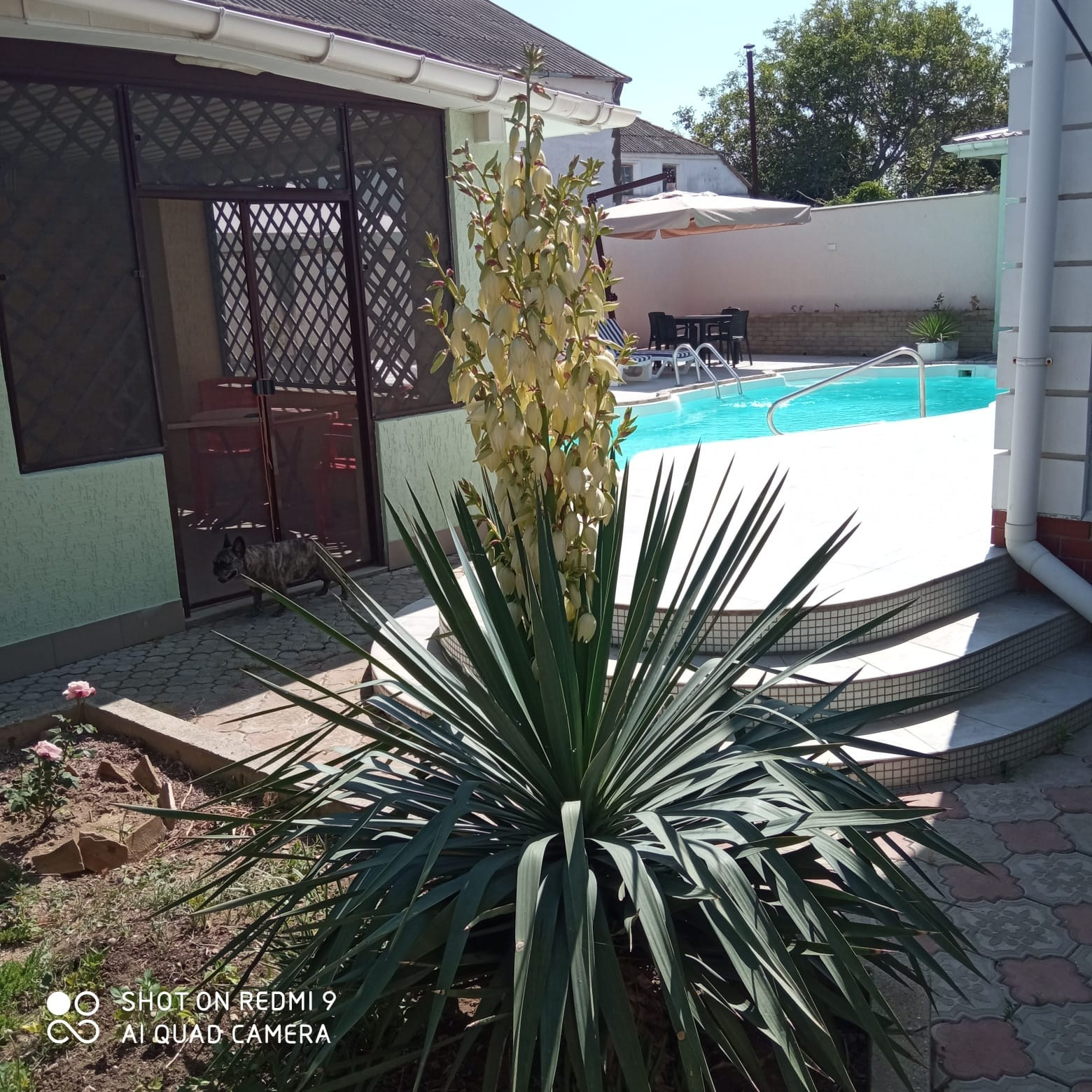 Услуги. Гостевой дом «Райский уголок»