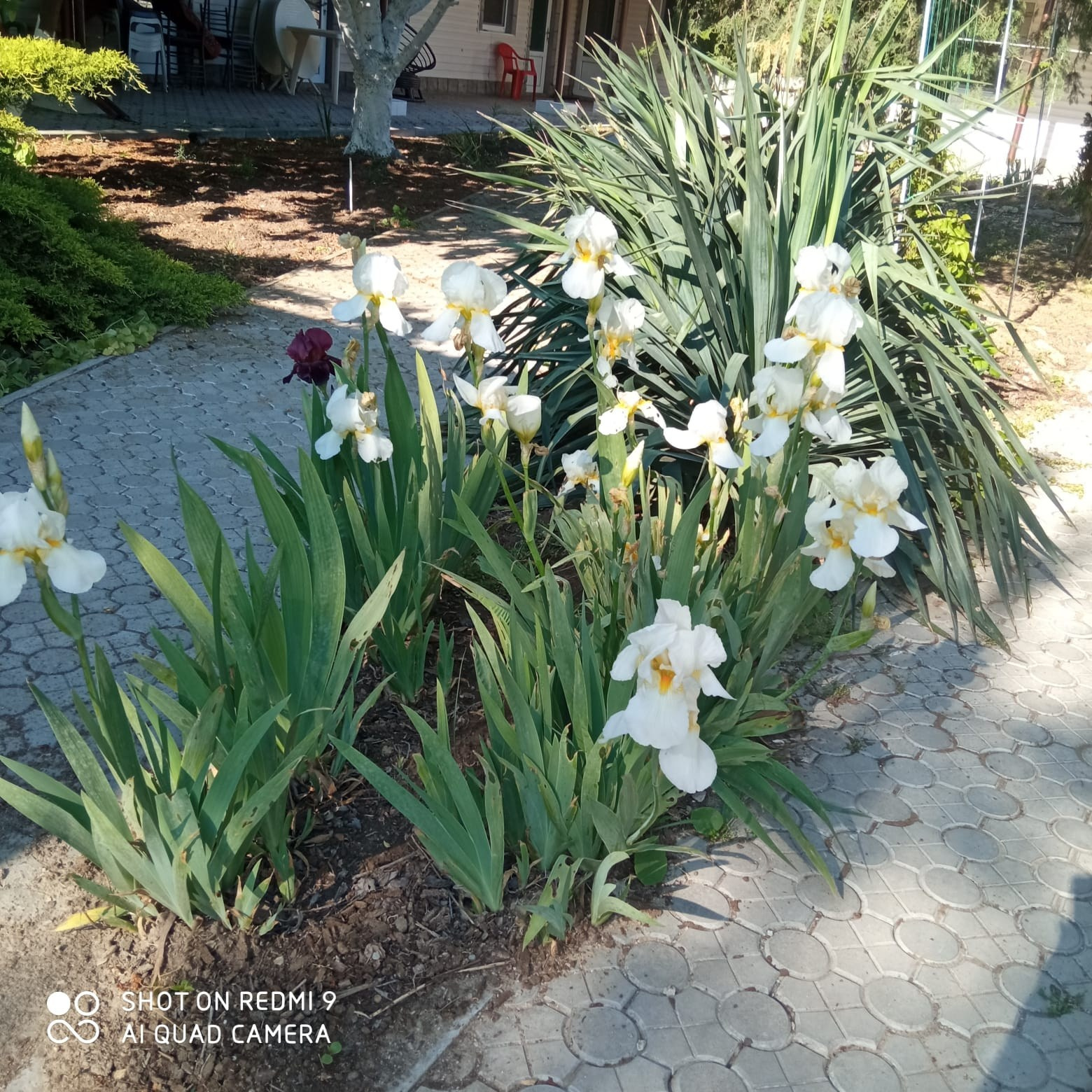 Услуги. Гостевой дом «Райский уголок»