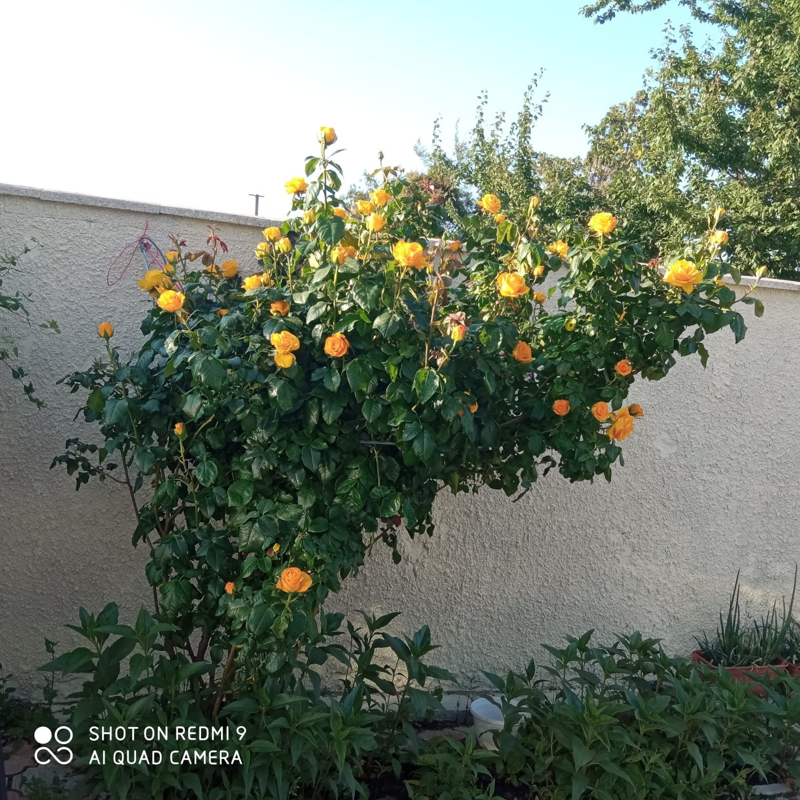 Услуги. Гостевой дом «Райский уголок»