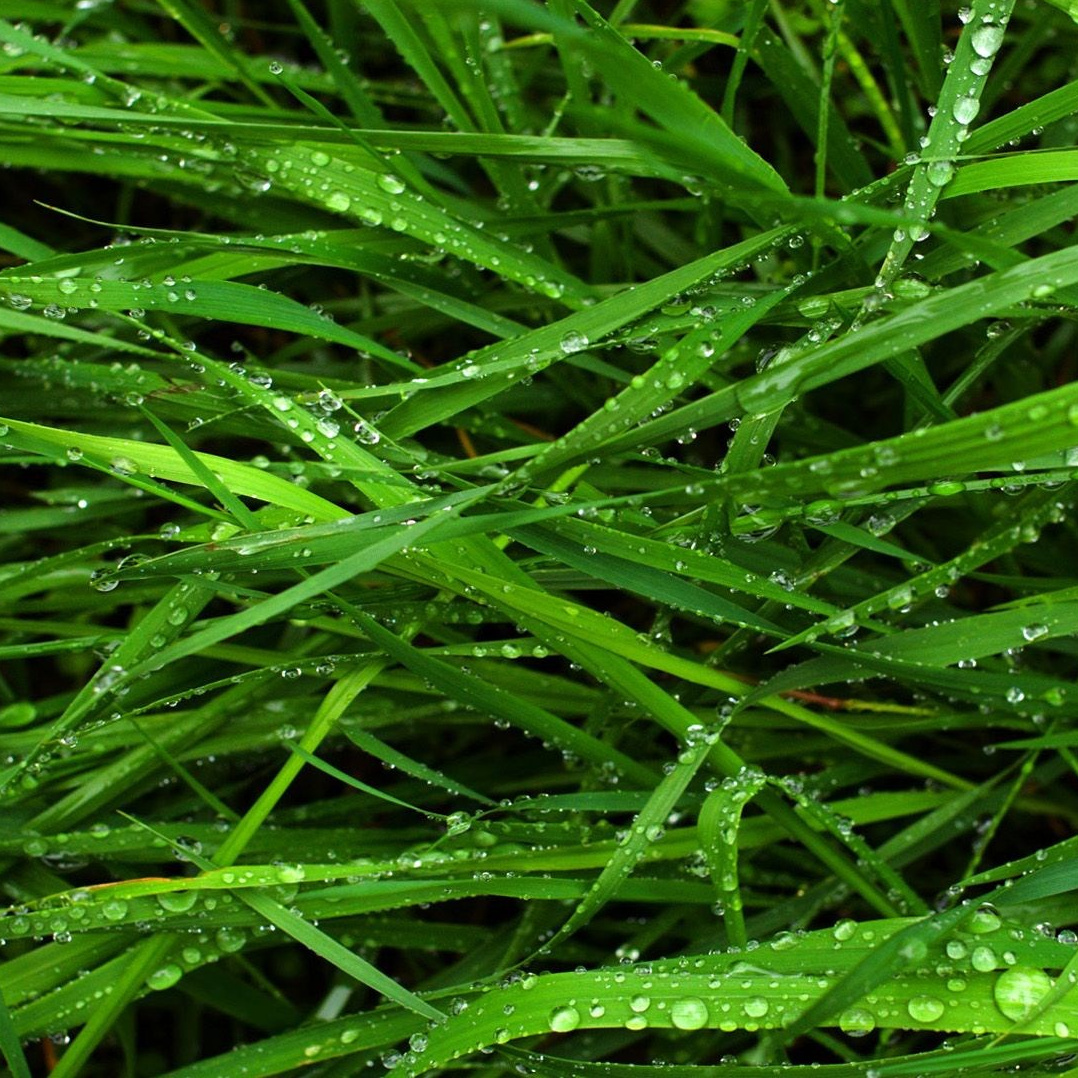 Реальный отзыв психолог. Жизнь после терапии - больше спокойствия и уверенности